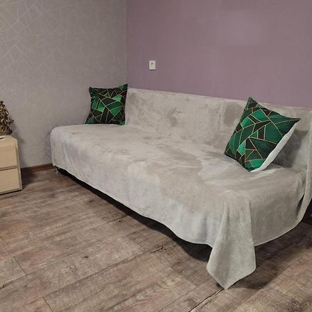 Apartment Sports Palace Просторная Квартира Рядом Дворец Спорта Kharkov Ngoại thất bức ảnh